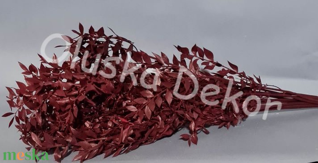 FN-7025. Ruscus, tartósított növény, 70-80cm több színben - kellékek & szerszámok - dekorációs kellékek - egyéb kellékek - Meska.hu