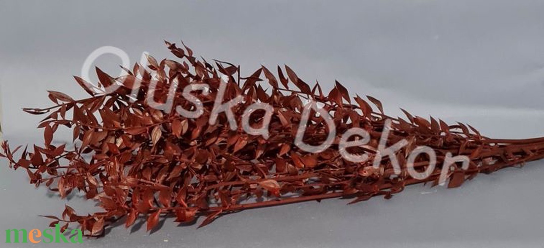 FN-7025. Ruscus, tartósított növény, 70-80cm több színben - kellékek & szerszámok - dekorációs kellékek - egyéb kellékek - Meska.hu