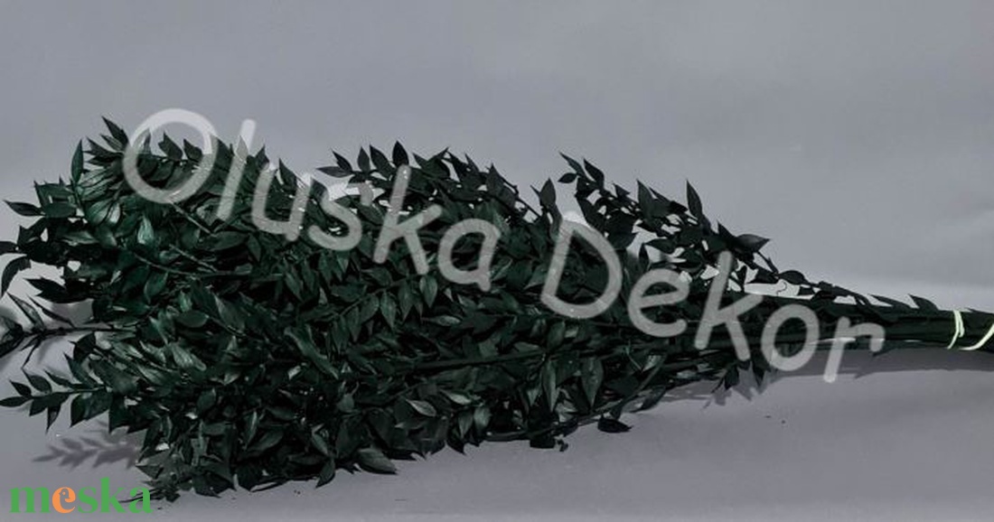 FN-7025. Ruscus, tartósított növény, 70-80cm több színben - kellékek & szerszámok - dekorációs kellékek - egyéb kellékek - Meska.hu