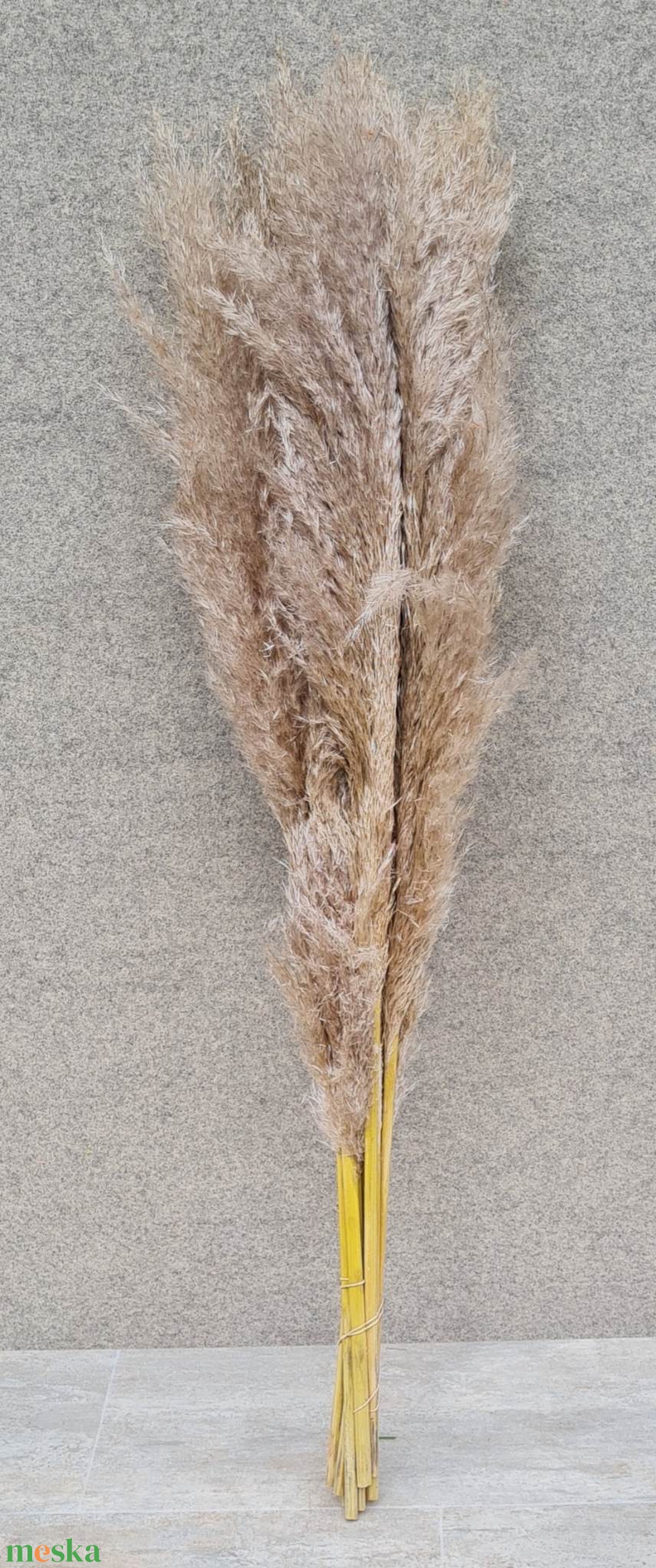 Pampafű, natúr 100 - 115 cm, 60 - 65 centiméter buga - kellékek & szerszámok - dekorációs kellékek - egyéb kellékek - Meska.hu Pampafű, natúr 100 - 115 cm, 60 - 65 centiméter buga - kellékek & szerszámok - dekorációs kellékek - egyéb kellékek - Meska.hu