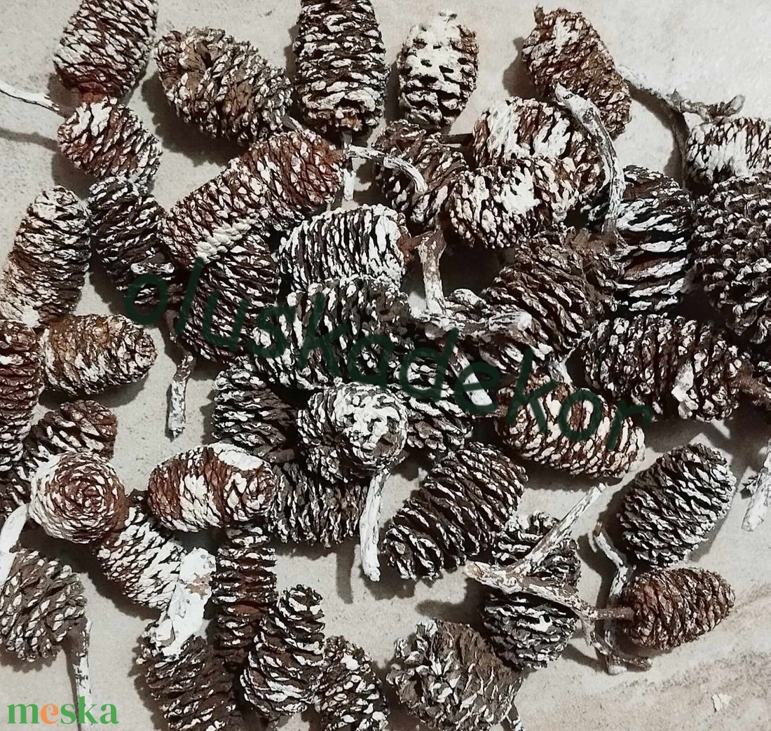 Éger, óriás, száraztermés, natúr, és színes, 20gr./cs. - kellékek & szerszámok - dekorációs kellékek - egyéb kellékek - Meska.hu Éger, óriás, száraztermés, natúr, és színes, 20gr./cs. - kellékek & szerszámok - dekorációs kellékek - egyéb kellékek - Meska.hu