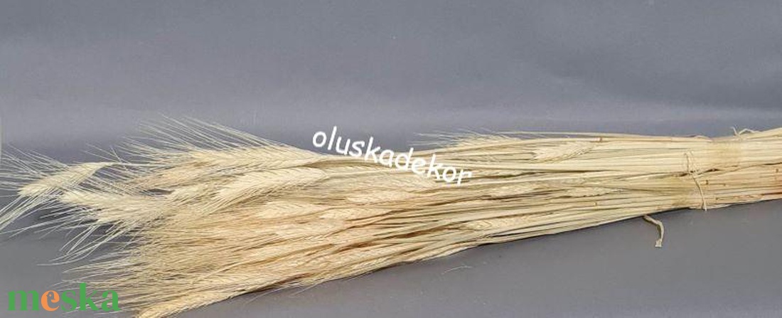 Szakállas búza, dekor búza, natúr, színes, száraznövény, esküvő - kellékek & szerszámok - dekorációs kellékek - egyéb kellékek - Meska.hu Szakállas búza, dekor búza, natúr, színes, száraznövény, esküvő - kellékek & szerszámok - dekorációs kellékek - egyéb kellékek - Meska.hu