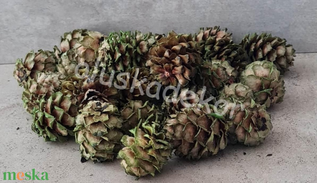 Salignum, natúr és színes, termés, száraztermés, dekor, 30gr/cs. - kellékek & szerszámok - dekorációs kellékek - egyéb kellékek - Meska.hu