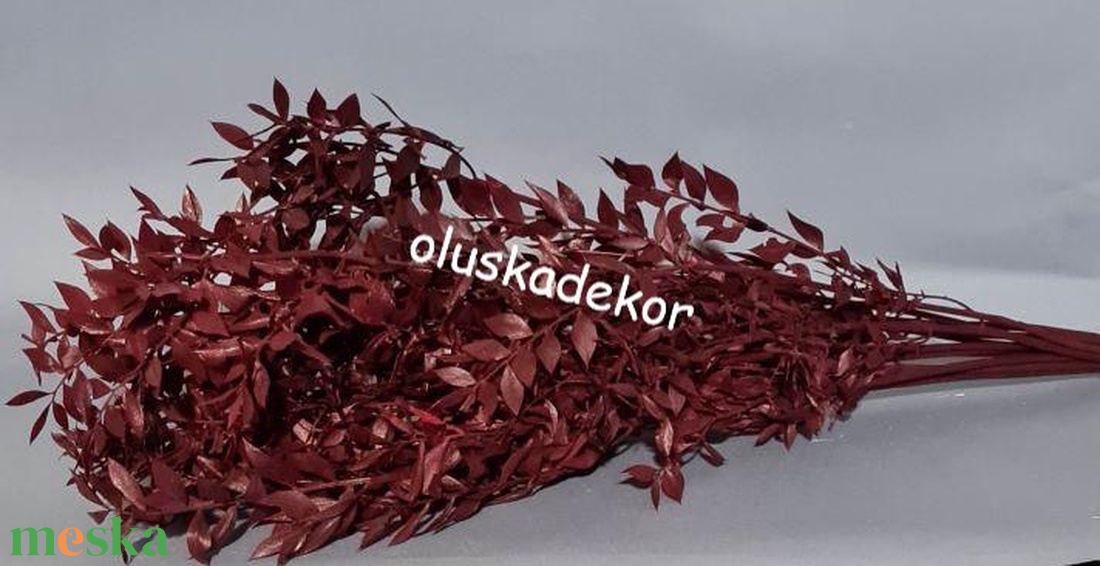 FN-7025. Ruscus, tartósított növény, 70-80cm több színben - dekorációs kellékek - egyéb kellékek - Meska.hu