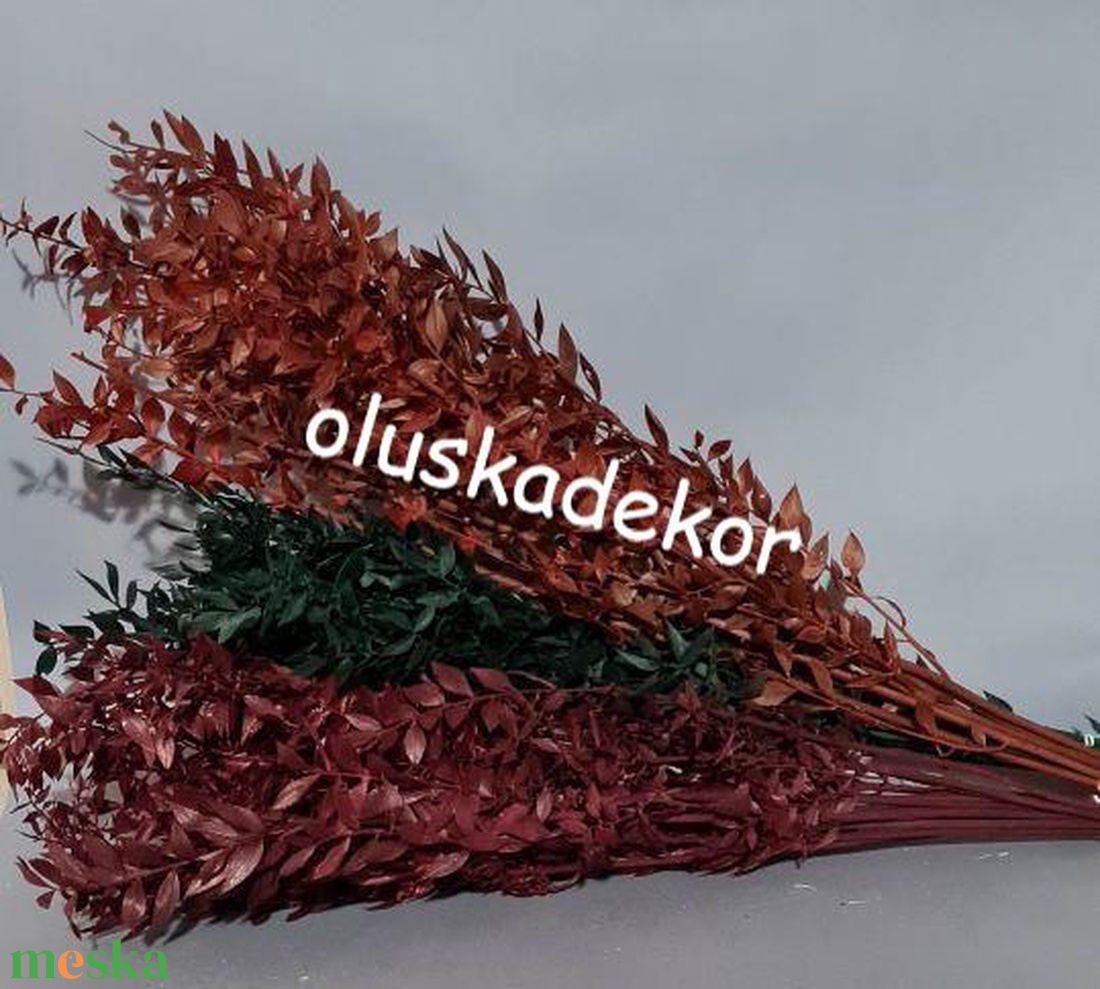 Ruscus, tartósított növény, - kellékek & szerszámok - dekorációs kellékek - egyéb kellékek - Meska.hu Ruscus, tartósított növény, - kellékek & szerszámok - dekorációs kellékek - egyéb kellékek - Meska.hu