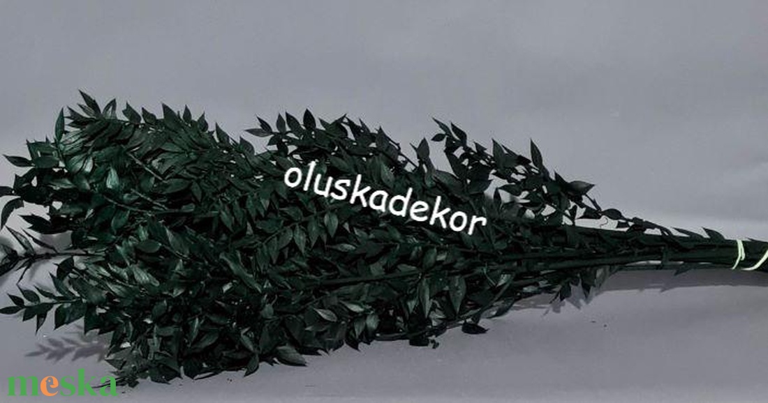 Ruscus, tartósított növény, - kellékek & szerszámok - dekorációs kellékek - egyéb kellékek - Meska.hu Ruscus, tartósított növény, - kellékek & szerszámok - dekorációs kellékek - egyéb kellékek - Meska.hu