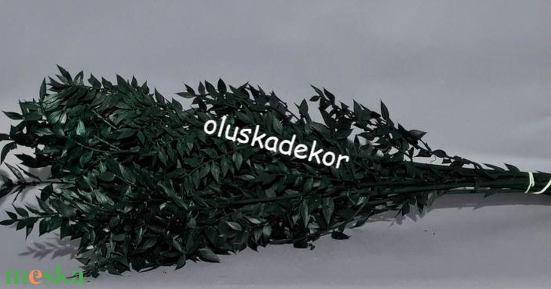 FN-7025. Ruscus, tartósított növény, 70-80cm több színben - dekorációs kellékek - egyéb kellékek - Meska.hu