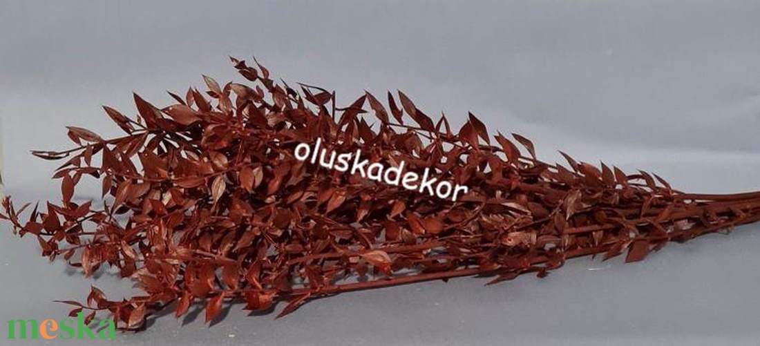 FN-7025. Ruscus, tartósított növény, 70-80cm több színben - dekorációs kellékek - egyéb kellékek - Meska.hu