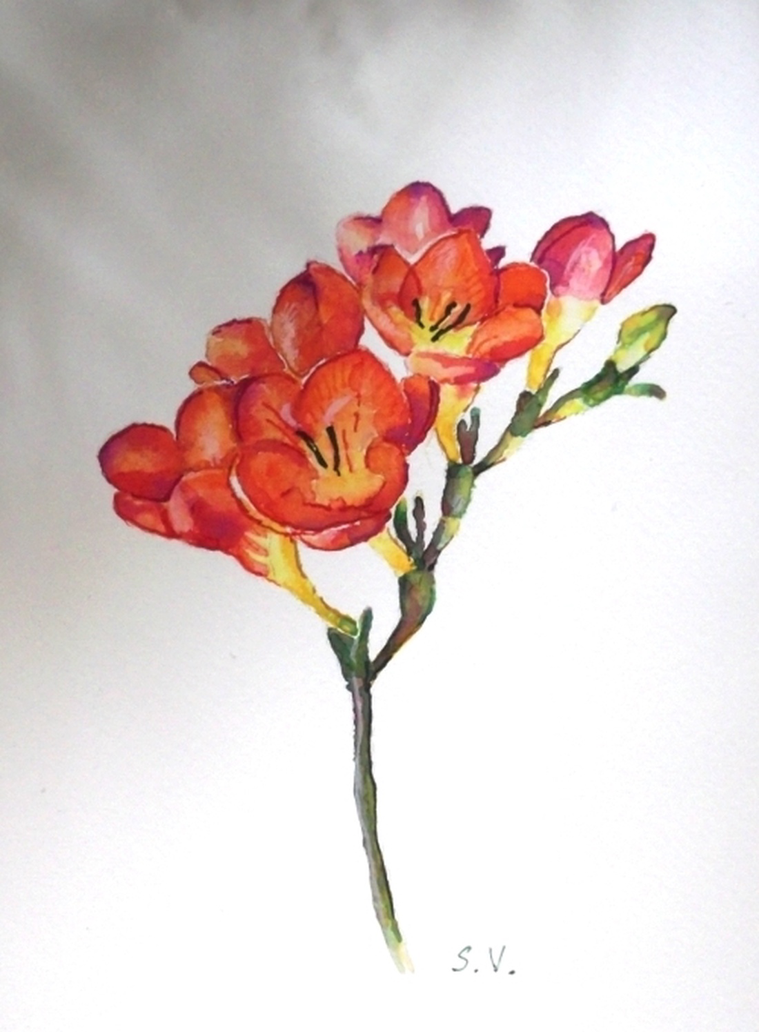 Piros frézia -  - Meska.hu