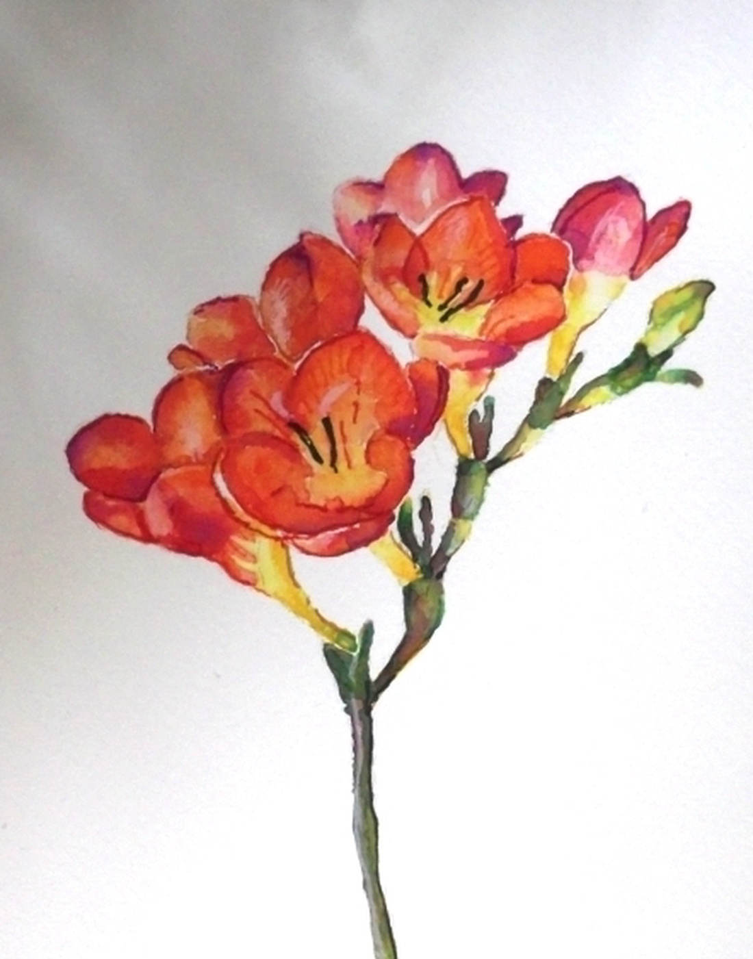 Piros frézia -  - Meska.hu