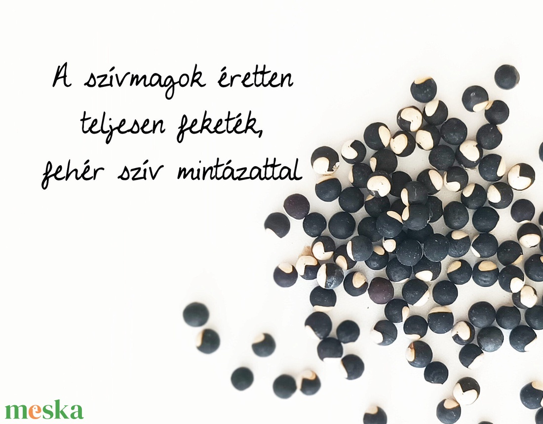 Vendég ajándék szívmag papírdobozban - diy (csináld magad) - egységcsomag - Meska.hu Vendég ajándék szívmag papírdobozban - diy (csináld magad) - egységcsomag - Meska.hu