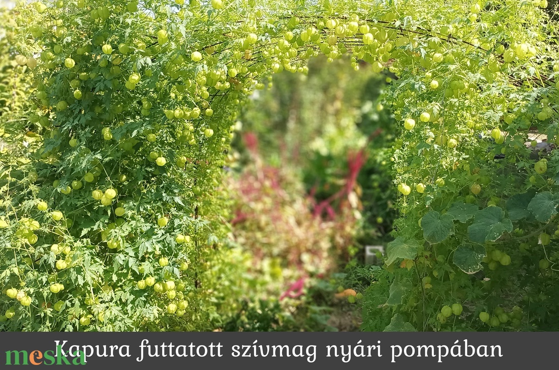 Esküvői köszönőajándék (szívmag csomag) - esküvő - emlék & ajándék - köszönőajándék - Meska.hu Esküvői köszönőajándék (szívmag csomag) - esküvő - emlék & ajándék - köszönőajándék - Meska.hu