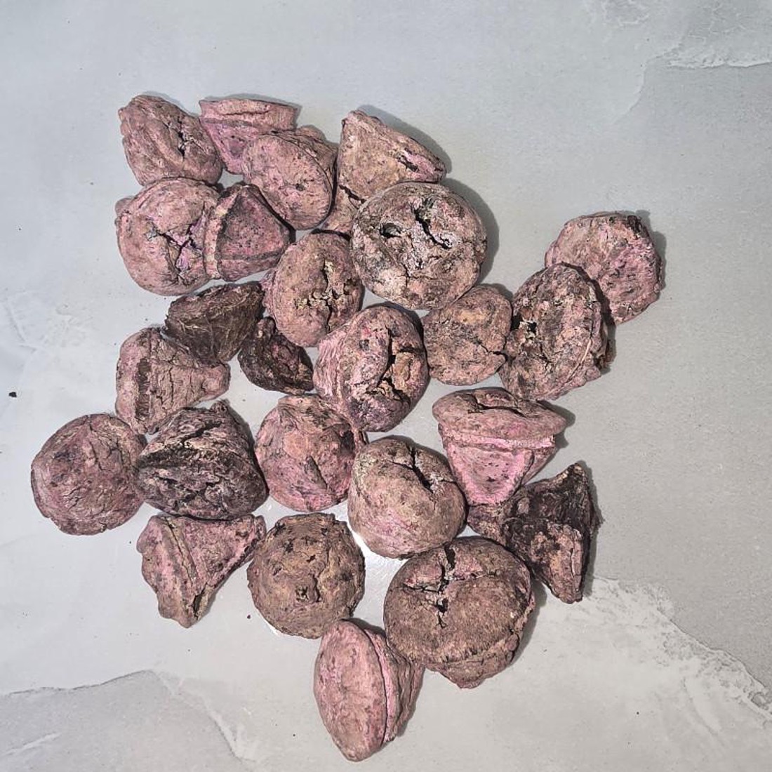 KisÖprŐ akciÓ! eukalyptus gomb - falfestékes mályva 5 dkg - kellékek & szerszámok - dekorációs kellékek - termések, terméscsomagok - Meska.hu