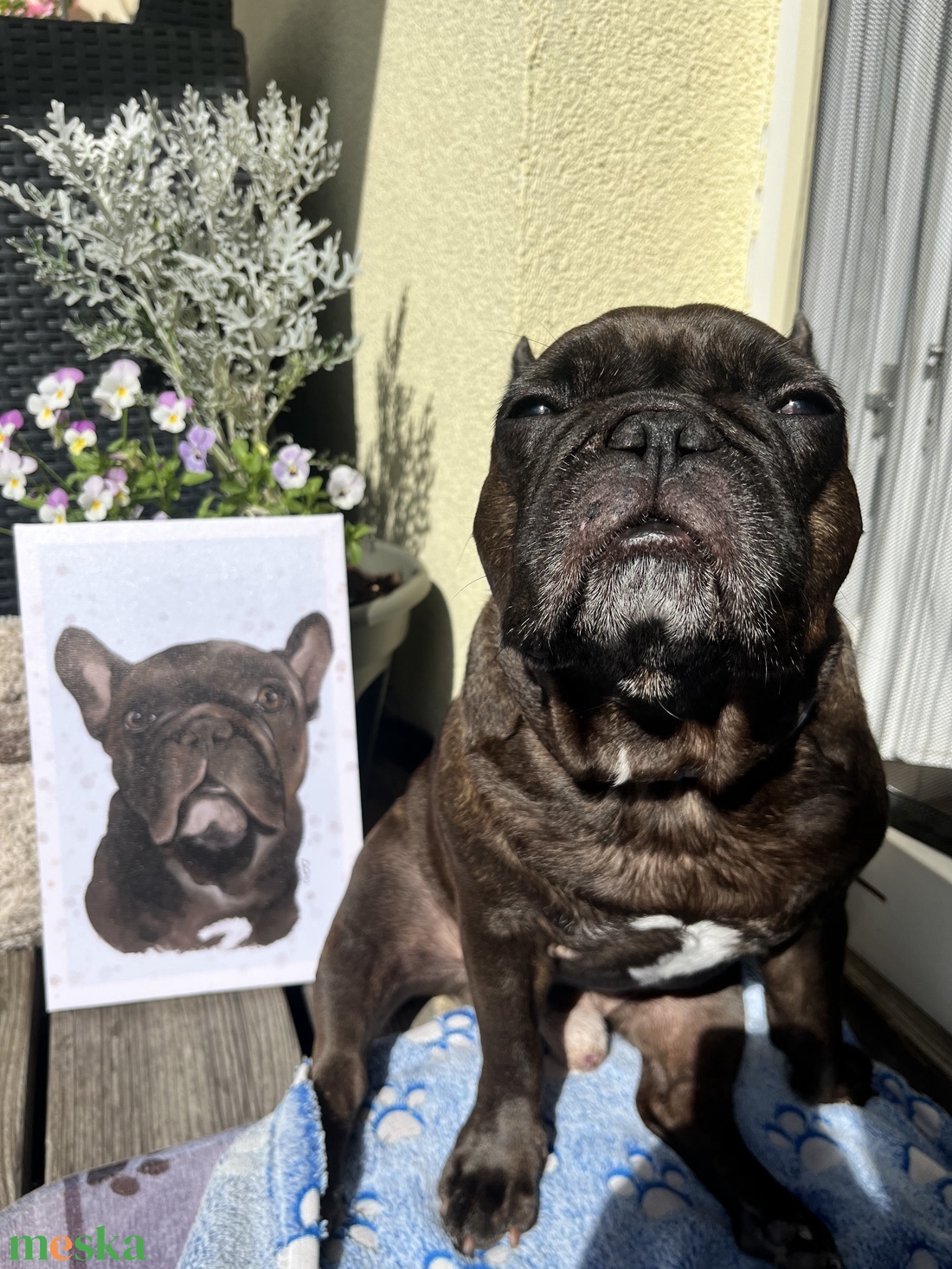 Digitális Kutyaportré - művészet - grafika & illusztráció - digitális - Meska.hu