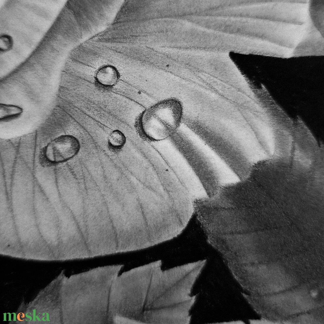 Rózsa vízcseppekkel, kézzel készült grafitrajz - művészet - grafika & illusztráció - ceruzarajz - Meska.hu