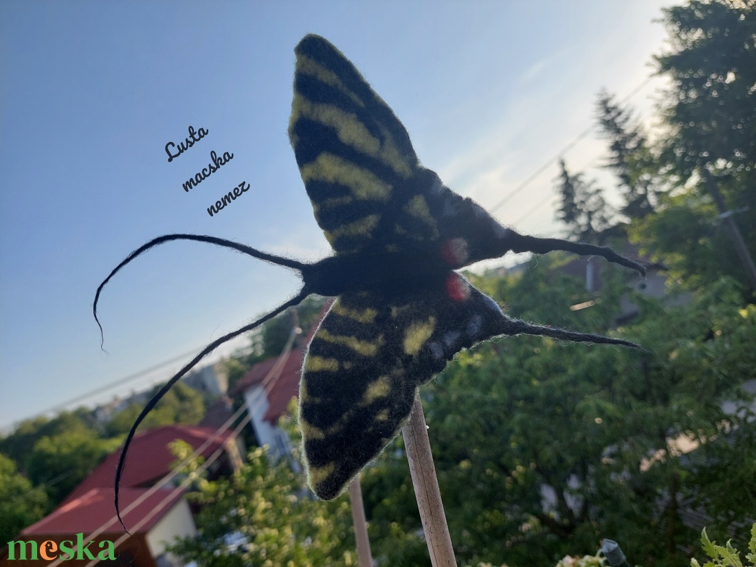 Kardszárnyú nemez lepke - ruha & divat - hajdísz & hajcsat - hajcsat & hajtű - Meska.hu Kardszárnyú nemez lepke - ruha & divat - hajdísz & hajcsat - hajcsat & hajtű - Meska.hu