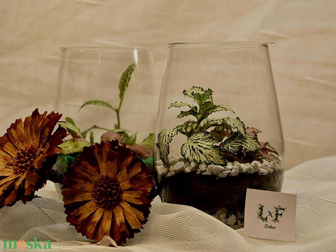Kis méretű letisztult florárium - otthon & életmód - dekoráció - asztal és polc dekoráció - florárium, terrárium - Meska.hu