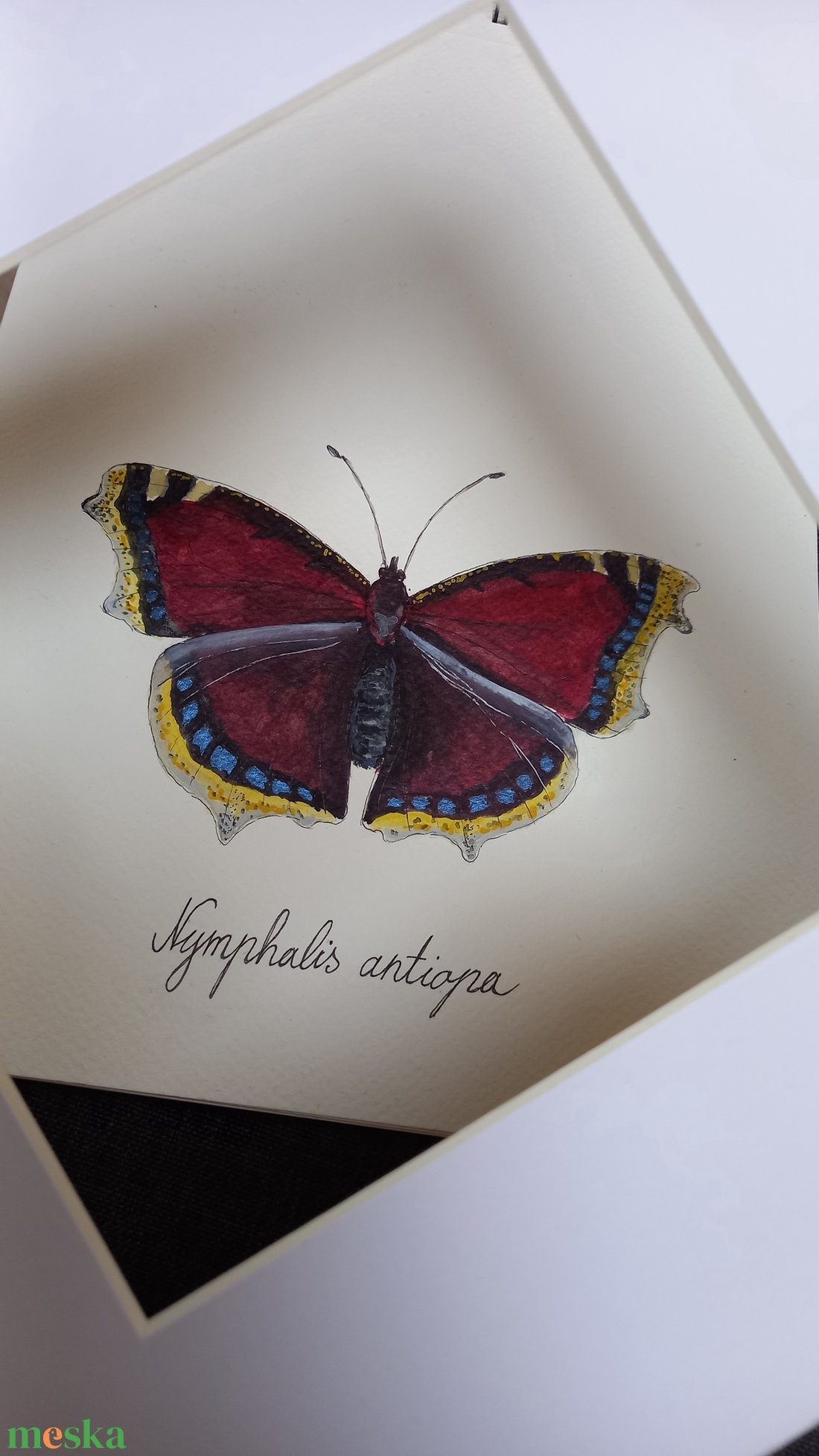 Nymphalis antiopa (gyászlepke) - művészet - festmény - akvarell - Meska.hu Nymphalis antiopa (gyászlepke) - művészet - festmény - akvarell - Meska.hu