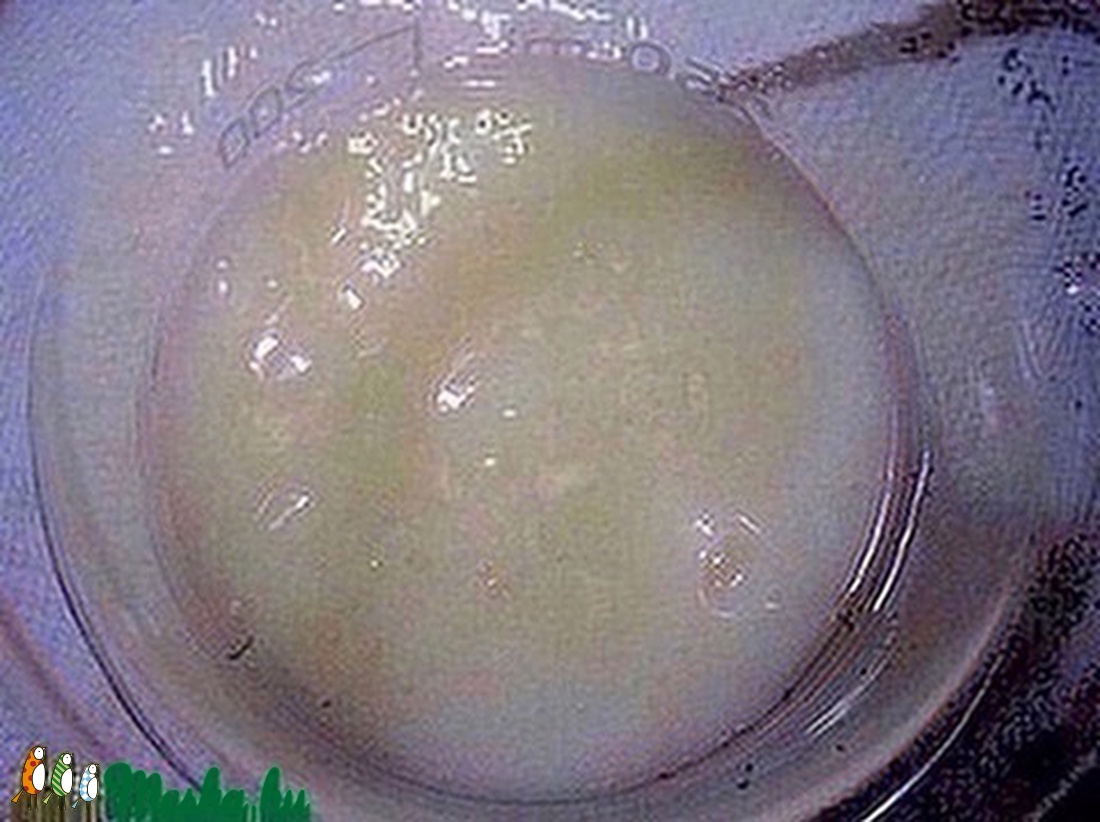 AKCIÓ -25% Malus Bőrápoló krémtusfürdő, Babafürdető és Hajbalzsam 200 g flakonban -  - Meska.hu
