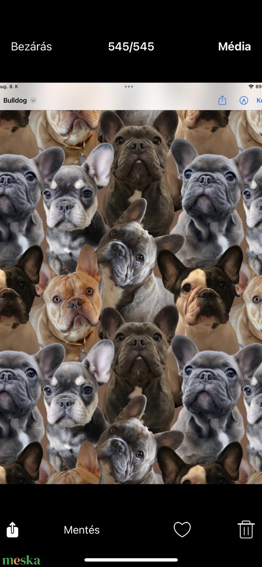 Új ÁLLATI minták - Vízlepergető gyöngyvászon digitális nyomtatású, kültérre is - 160 cm széles  - kellékek & szerszámok - méteráru - vászon - Meska.hu