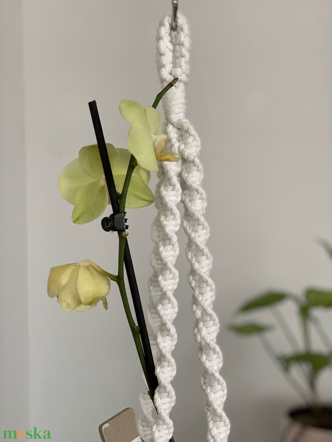 Virágtartó, makramé, fehér - otthon & életmód - virágdekoráció - virágtartó - függő virágtartó - Meska.hu