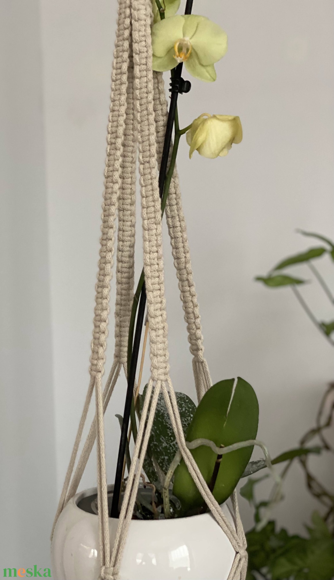 Virágtartó, makramé, bézs  színű - otthon & életmód - virágdekoráció - virágtartó - függő virágtartó - Meska.hu