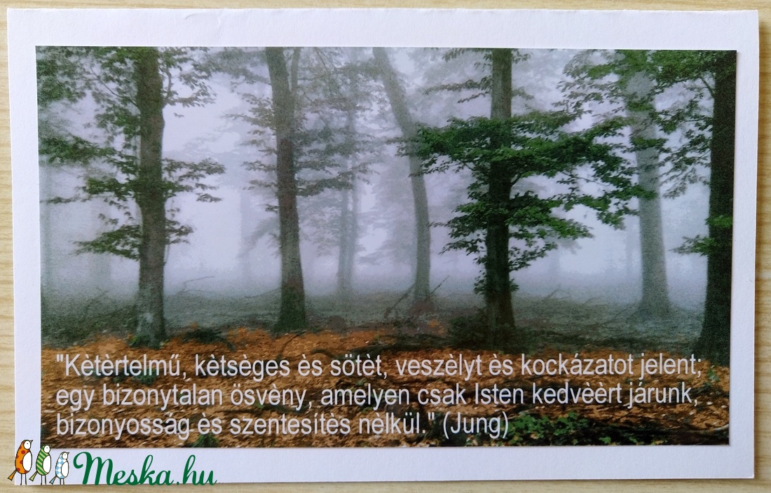 3 kinyitható képeslap saját fotóval - köd, fák, kilincs -  - Meska.hu