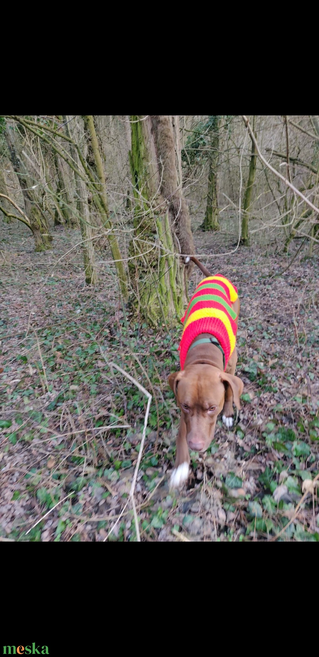 Egyedi, méretre kötött kutyaruha nagy- és kistestű kutyáknak � próbával, garanciával. - otthon & életmód - kisállatoknak - kutyáknak - kutya ruházat - Meska.hu