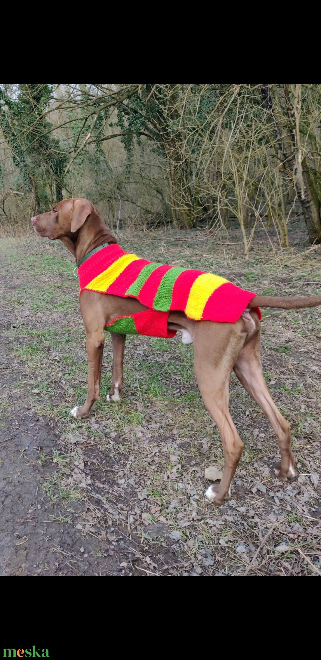 Egyedi, méretre kötött kutyaruha nagy- és kistestű kutyáknak � próbával, garanciával. - otthon & életmód - kisállatoknak - kutyáknak - kutya ruházat - Meska.hu