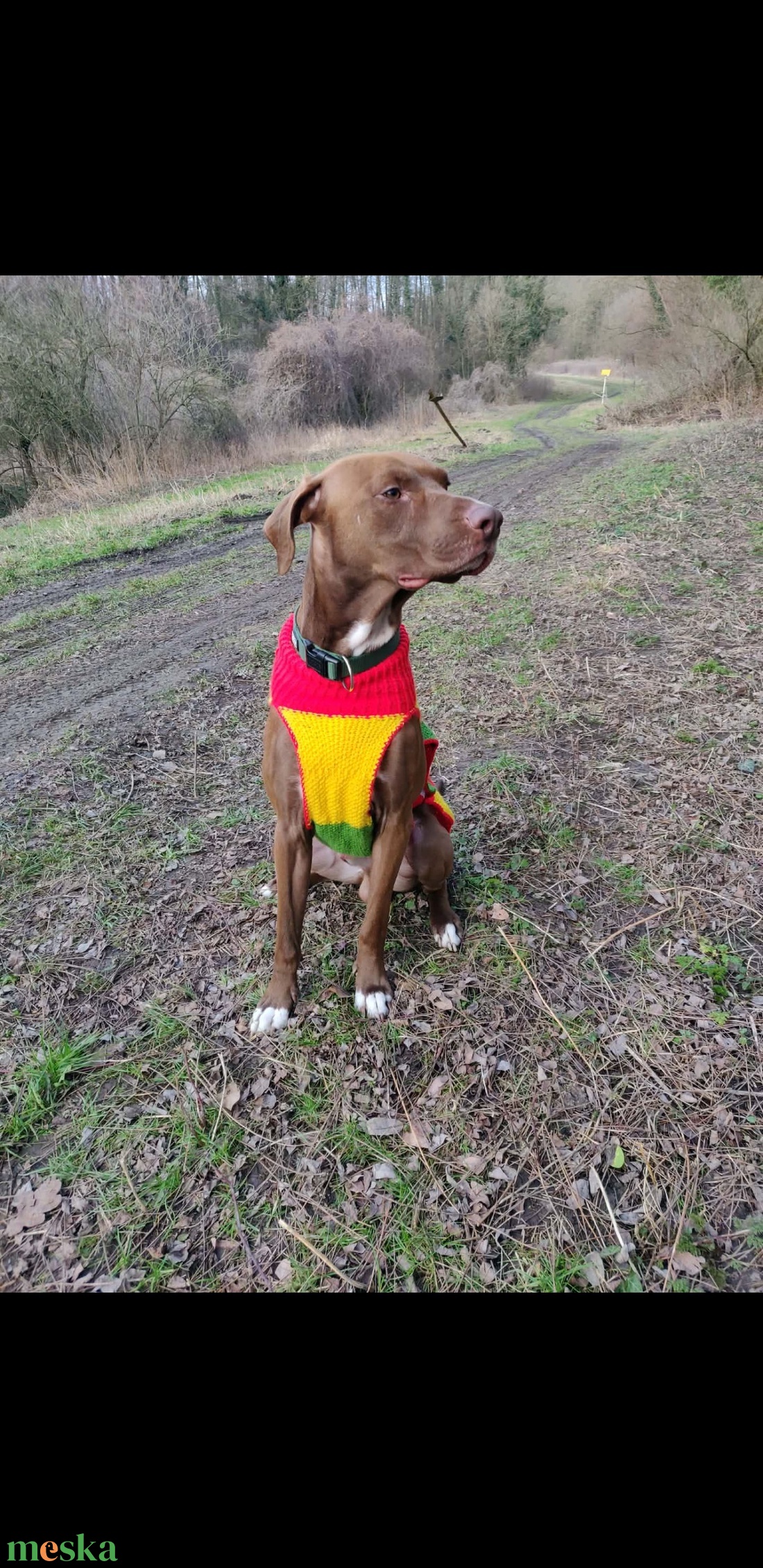 Egyedi, méretre kötött kutyaruha nagy- és kistestű kutyáknak � próbával, garanciával. - otthon & életmód - kisállatoknak - kutyáknak - kutya ruházat - Meska.hu