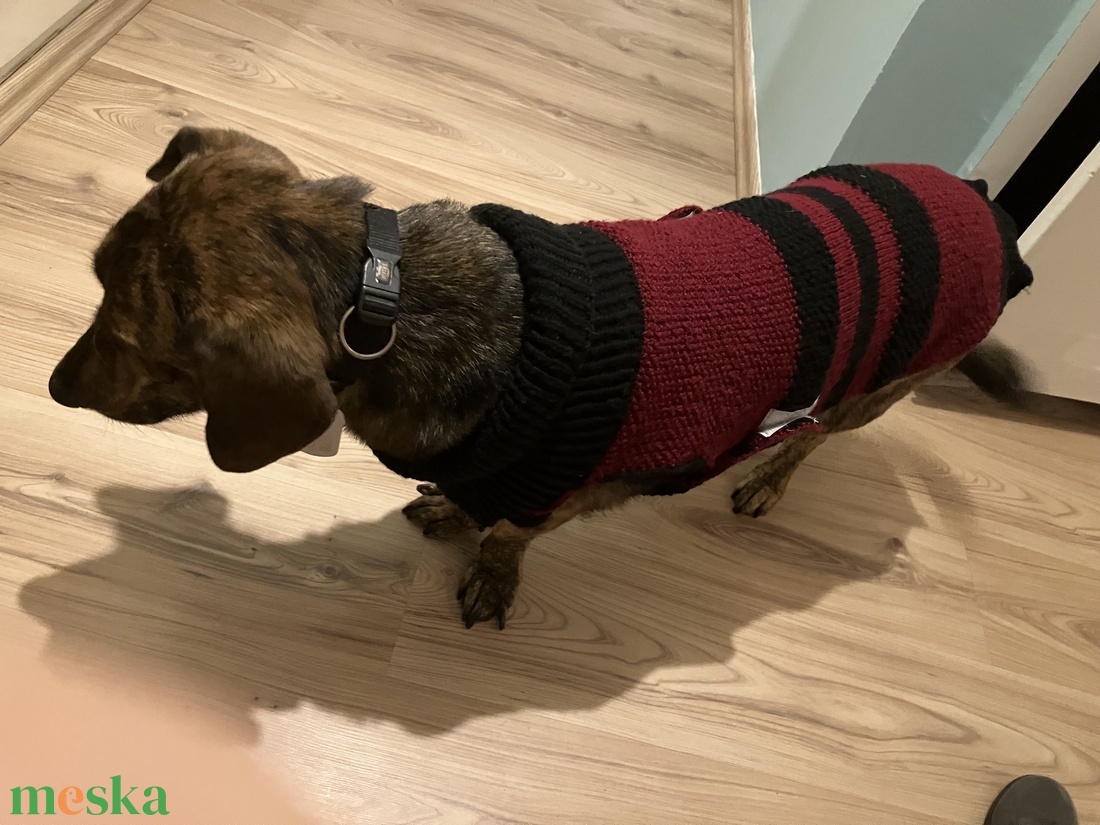 Egyedi, méretre kötött kutyaruha nagy- és kistestű kutyáknak � próbával, garanciával. - otthon & életmód - kisállatoknak - kutyáknak - kutya ruházat - Meska.hu