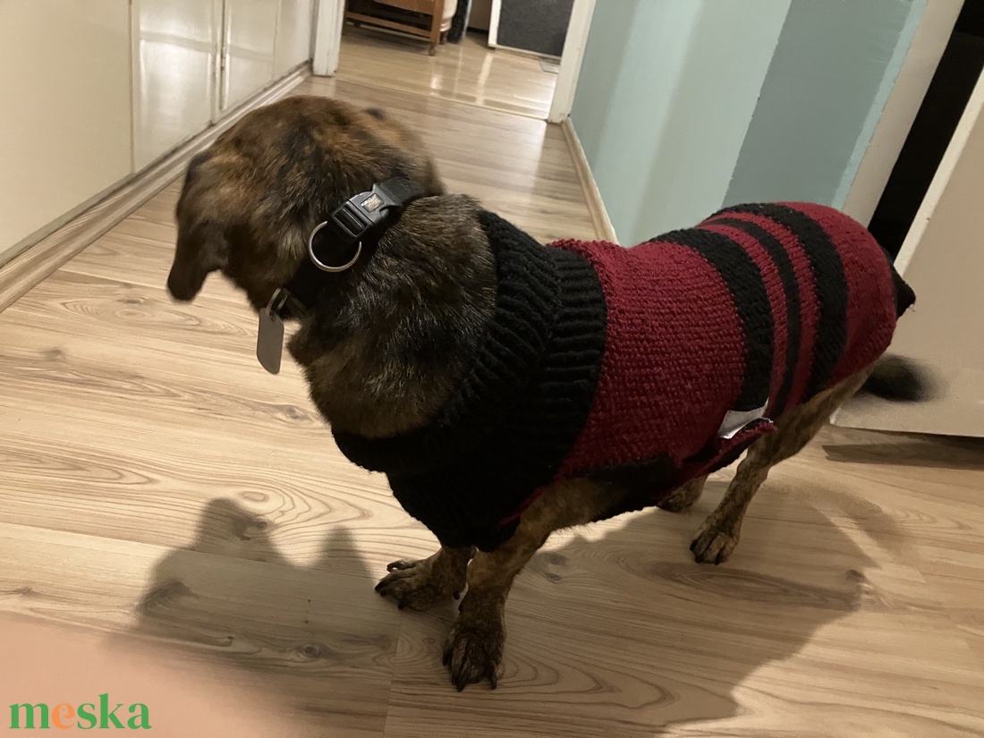 Egyedi, méretre kötött kutyaruha nagy- és kistestű kutyáknak � próbával, garanciával. - otthon & életmód - kisállatoknak - kutyáknak - kutya ruházat - Meska.hu