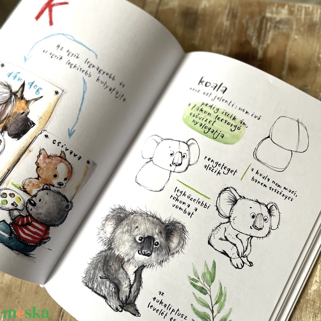 Rajzolj velem állatokat! könyv gyerekkönyv foglalkoztató könyv verses - könyv & zene - könyv - Meska.hu