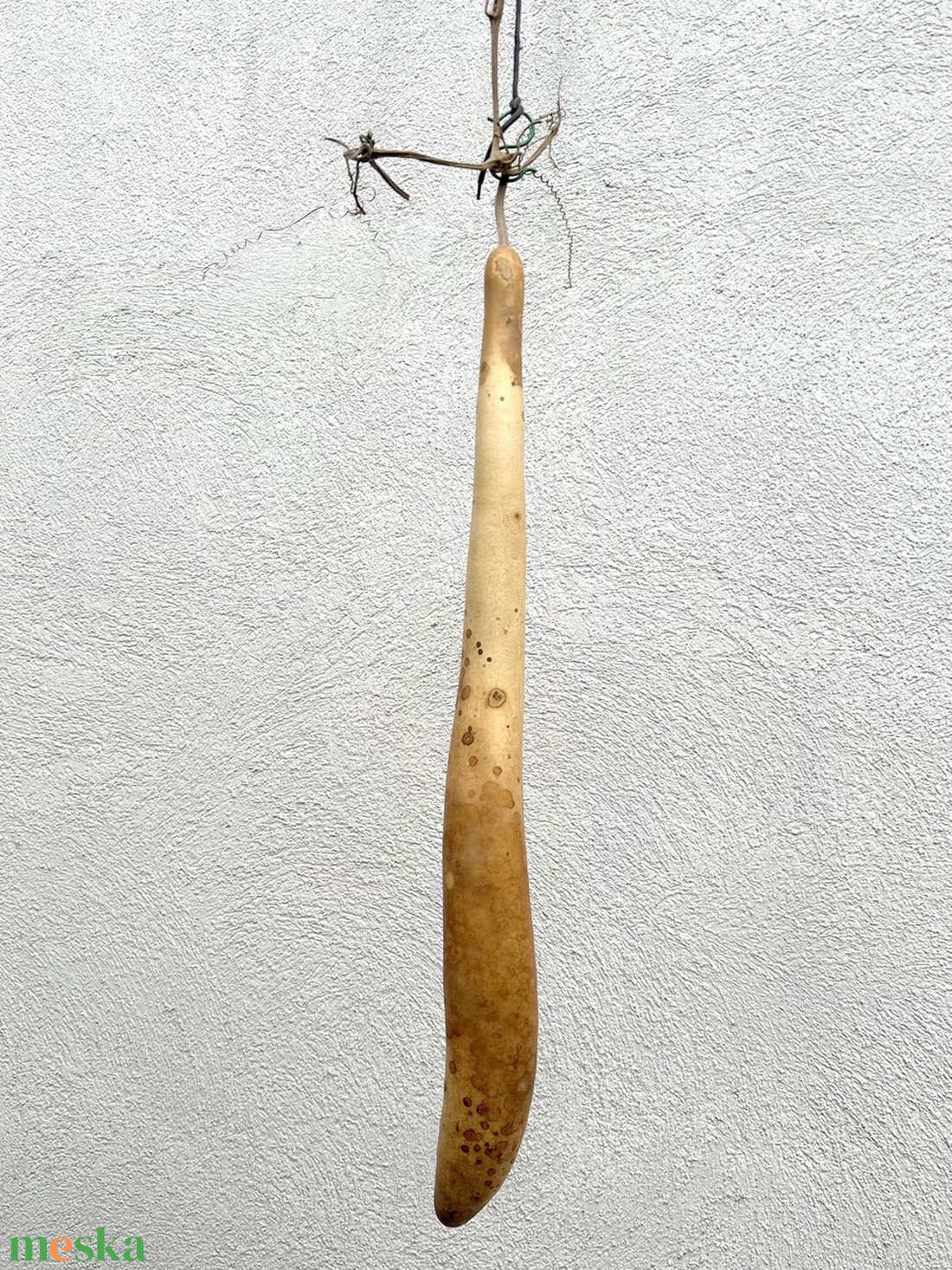 Lopótök dekoratív dísztök 84 cm kiszárított kolbásztök lopó tök - kellékek & szerszámok - dekorációs kellékek - őszi dekor - őszi dekortök - Meska.hu