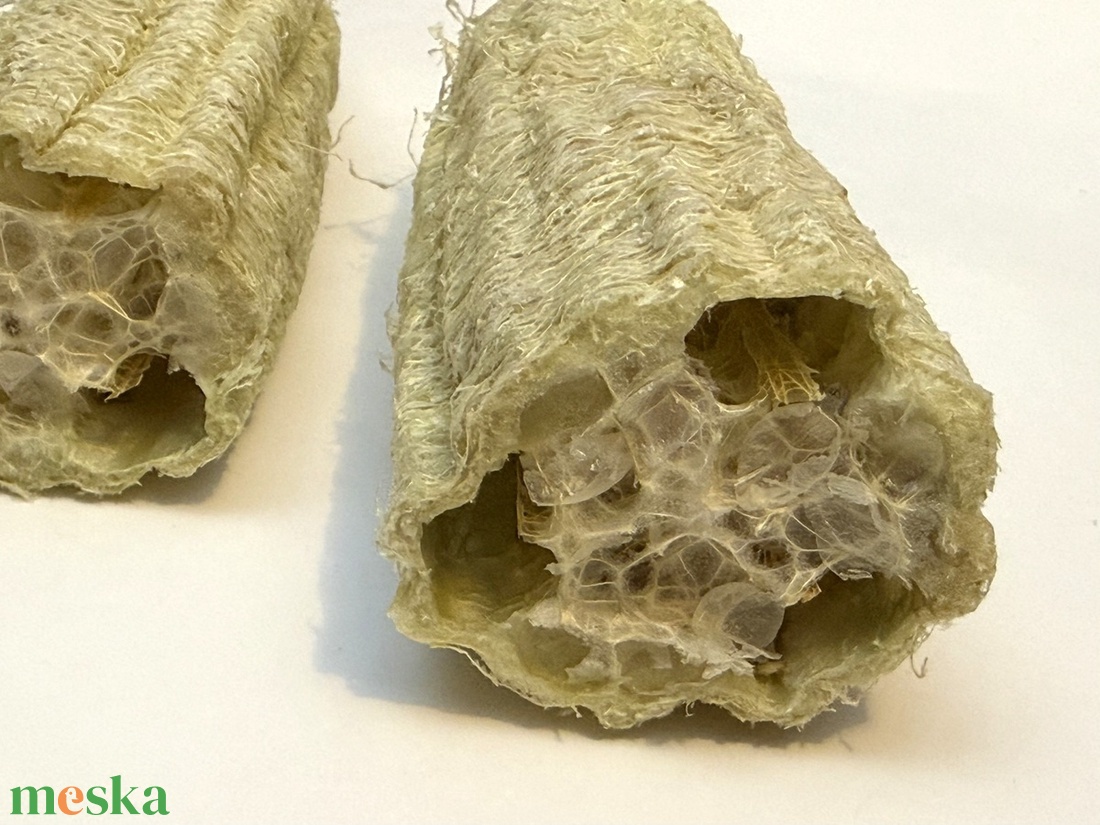 Luffatök 20 cm - luffa szivacstök szivacs tök - natúr - kellékek & szerszámok - dekorációs kellékek - termések, terméscsomagok - Meska.hu