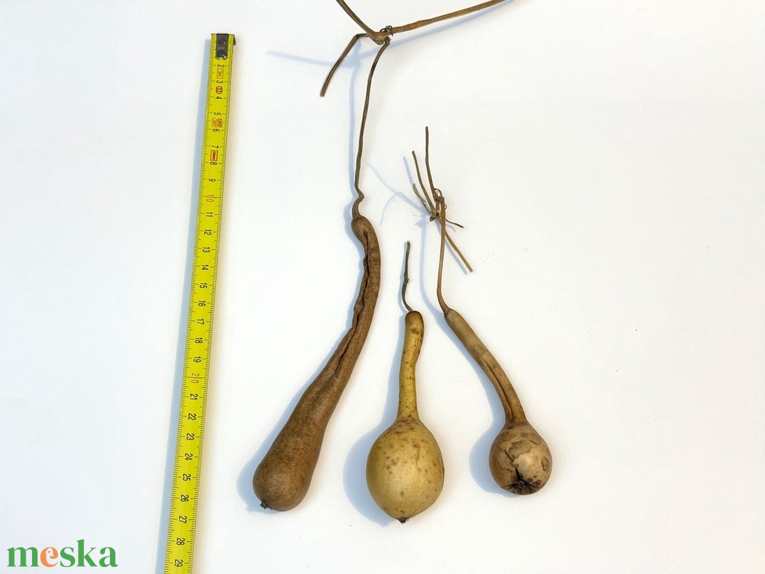 Pici lopótök 3 db együtt - kiszárított dekoráció lopó tök - kellékek & szerszámok - dekorációs kellékek - termések, terméscsomagok - Meska.hu