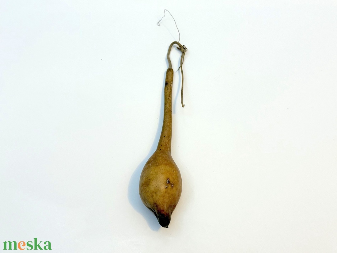 Kis lopótök - kiszárított dekoráció lopó tök - kellékek & szerszámok - dekorációs kellékek - termések, terméscsomagok - Meska.hu