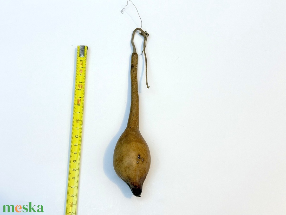 Kis lopótök - kiszárított dekoráció lopó tök - kellékek & szerszámok - dekorációs kellékek - termések, terméscsomagok - Meska.hu