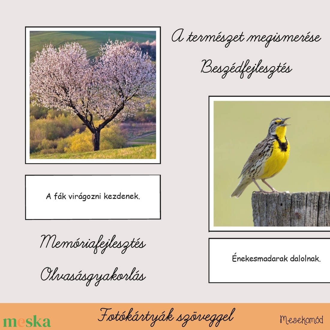 Ez a tavasz! - tanulókártyák valódi fotókkal - játék & sport - készségfejlesztő és logikai játék - oktató játékok - Meska.hu