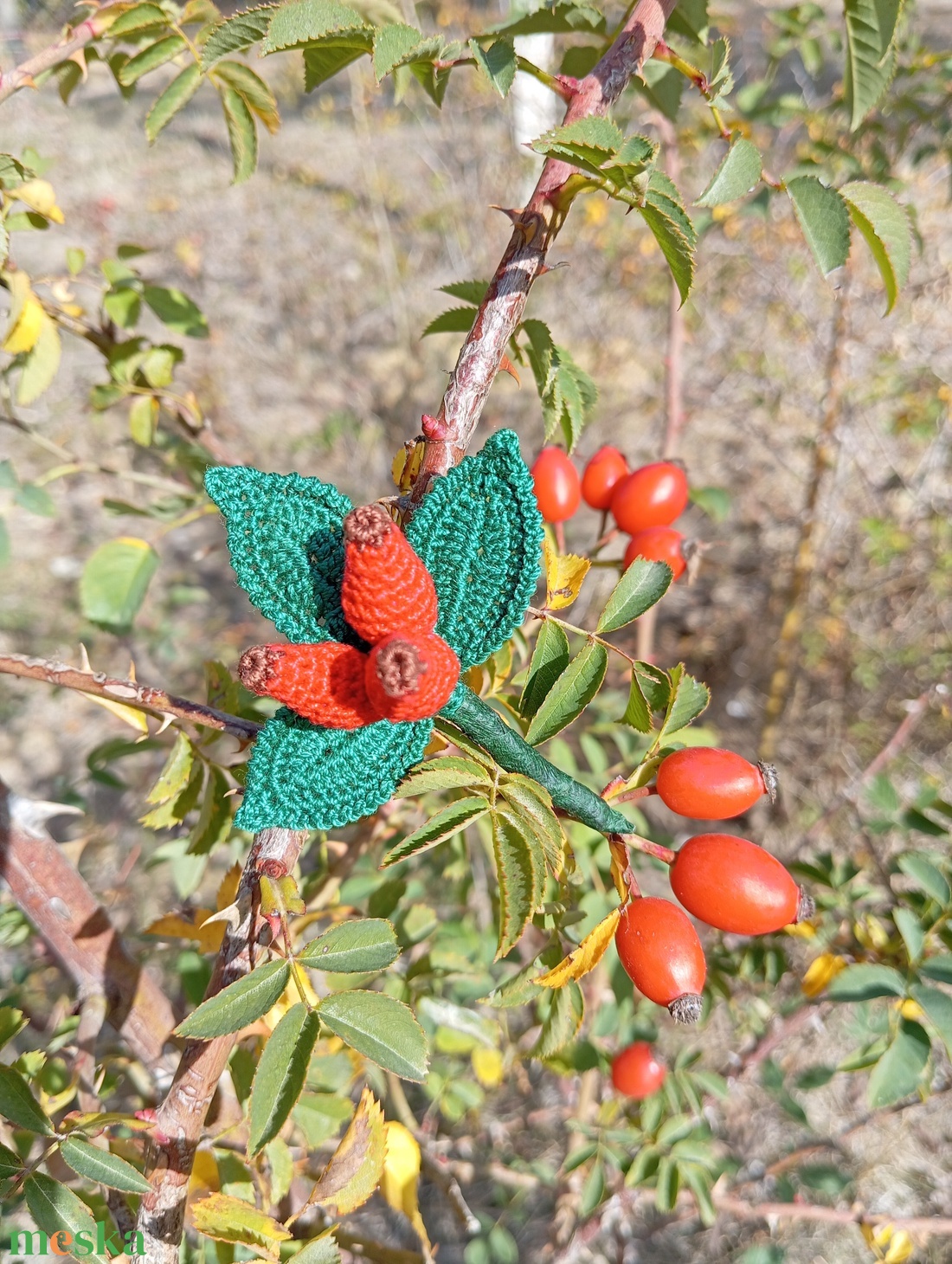 Csipkebogyó kitűző  - ékszer - kitűző és bross - Meska.hu