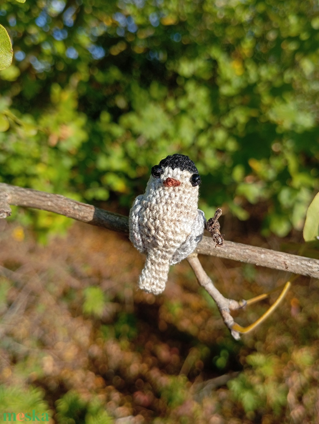 Barátposzáta (hím) kitűző  - ékszer - kitűző és bross - Meska.hu