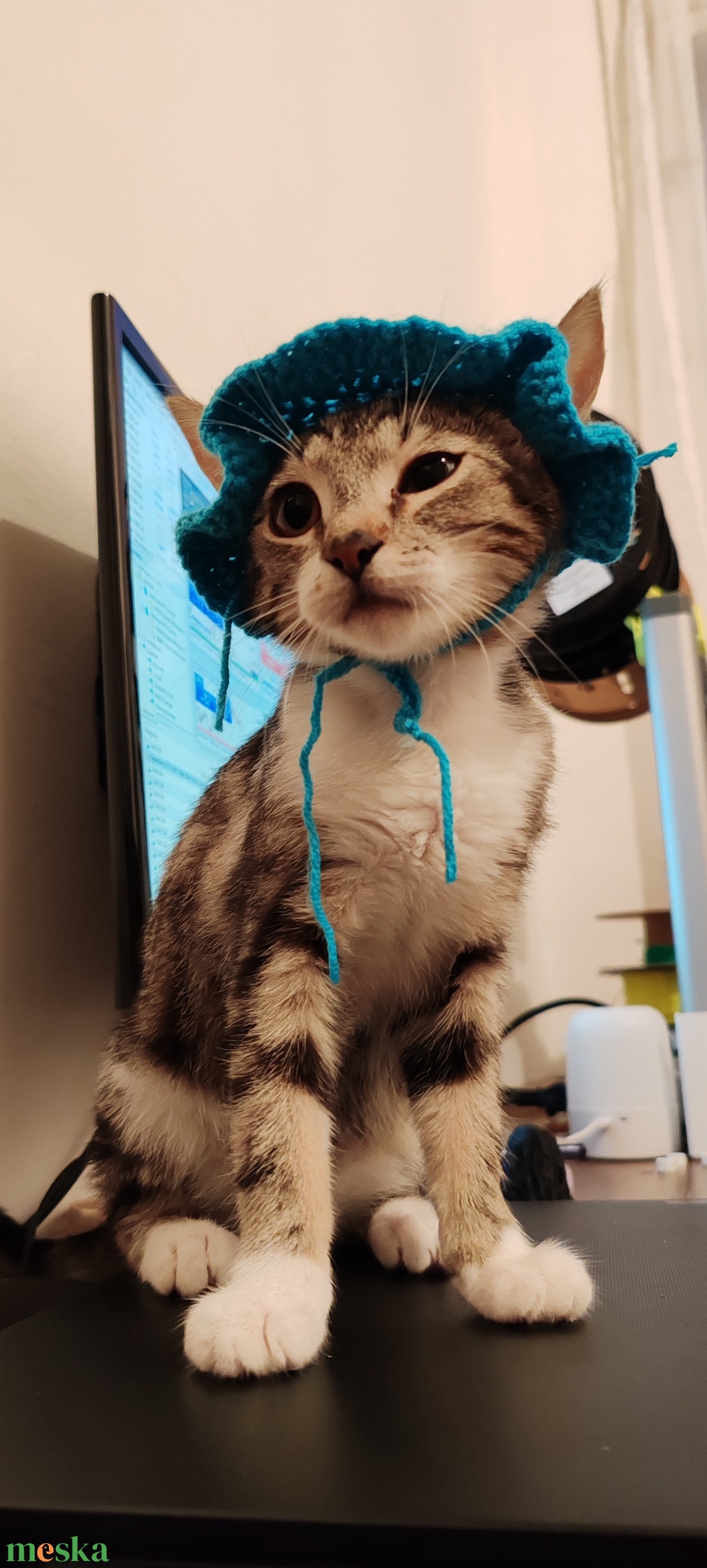 Horgolt Cica sapka - otthon & életmód - kisállatoknak - cicáknak & macskáknak - Meska.hu