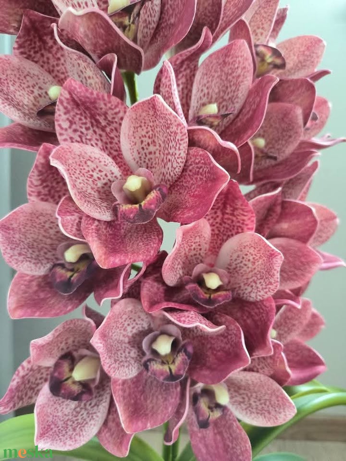Csónakorchidea dekoráció - otthon & életmód - dekoráció - asztal és polc dekoráció - asztaldísz - Meska.hu Csónakorchidea dekoráció - otthon & életmód - dekoráció - asztal és polc dekoráció - asztaldísz - Meska.hu