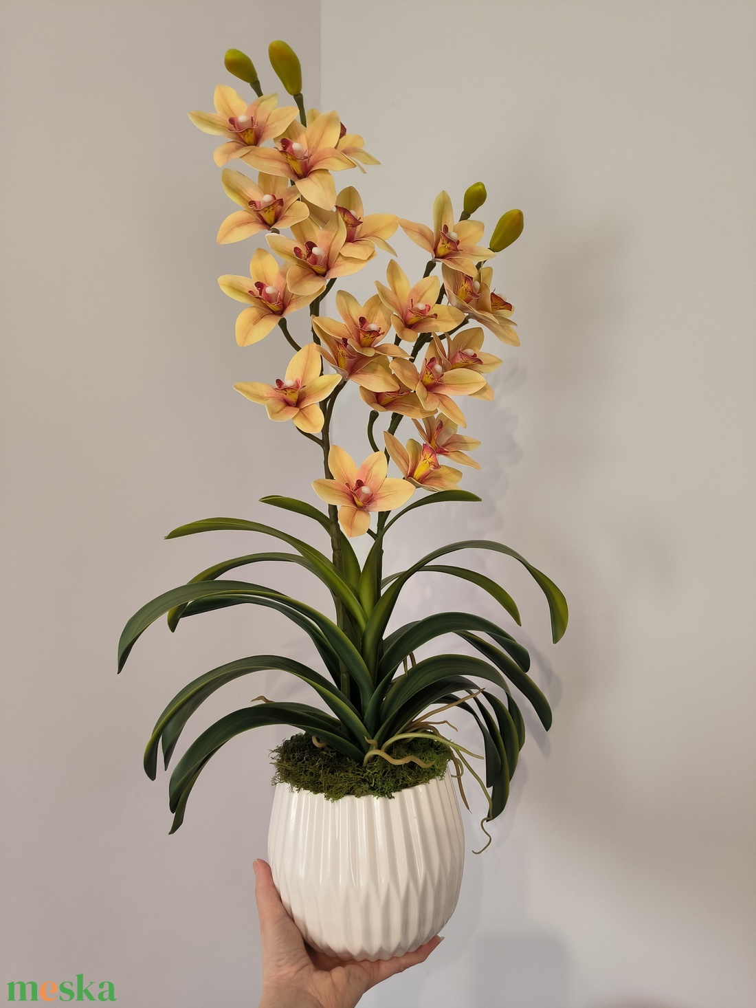 Csónakorchidea dekoráció  - otthon & életmód - virágdekoráció - virágdíszek - virágdísz kaspóban - Meska.hu