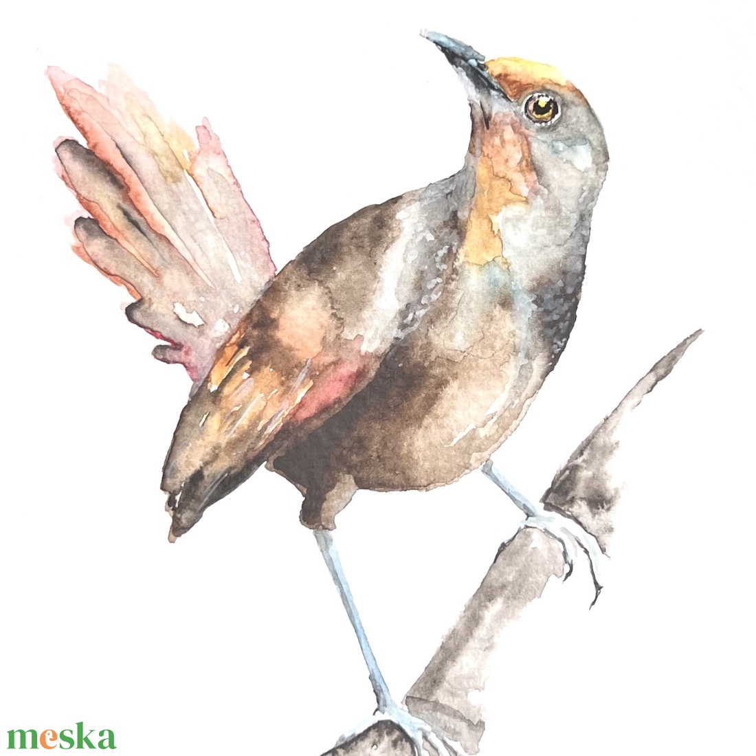 Eredeti akvarell madár festmény - művészet - festmény - akvarell - Meska.hu
