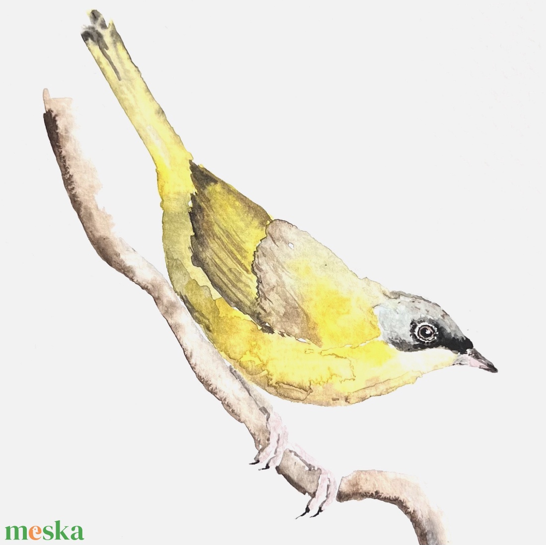 Eredeti akvarell madár festmény - művészet - festmény - akvarell - Meska.hu
