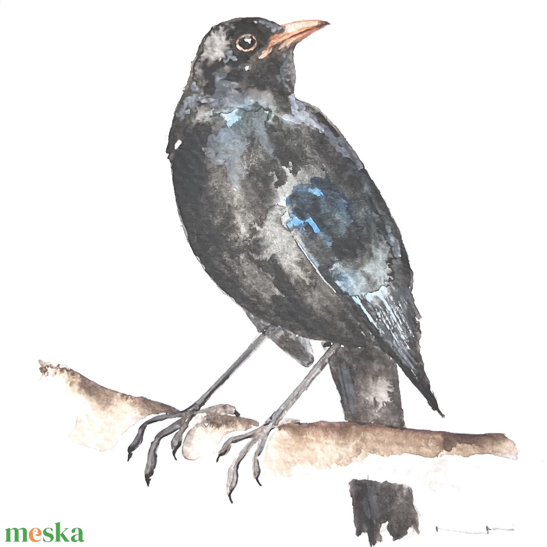 Eredeti akvarell feketerigó madár festmény - művészet - festmény - akvarell - Meska.hu