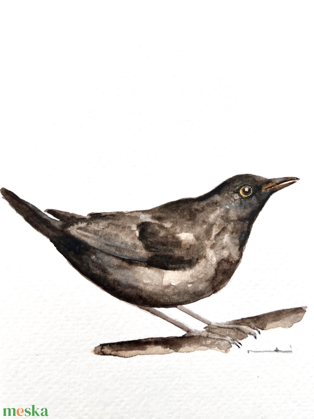 Eredeti akvarell rigó madár festmény - művészet - festmény - akvarell - Meska.hu