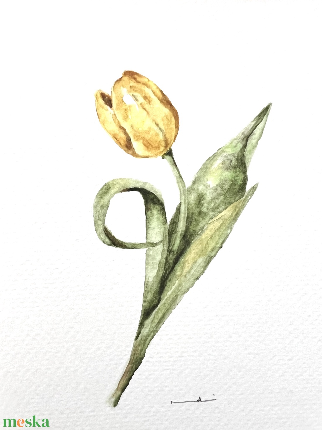 Eredeti akvarell tulipán virág  festmény - művészet - festmény - akvarell - Meska.hu