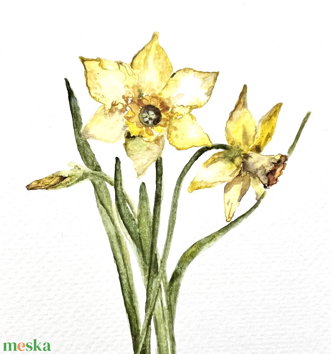 Eredeti akvarell nárcisz virág  festmény - művészet - festmény - akvarell - Meska.hu